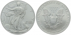 USA 1 Dollar 2002 Silver Eagle - 1 Unze Feinsilber